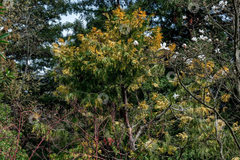 Скачать Природный парк фотосток Ozero