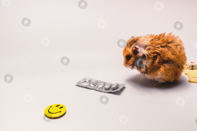 Скачать Хомяк фотосток Ozero