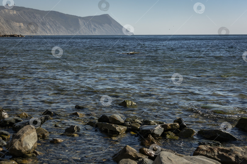 Скачать Побережье Черного моря на закате. Морские камни и утесы разных размеров и фактур, черного, серого и любых цветов на побережье, как в природе. фотосток Ozero