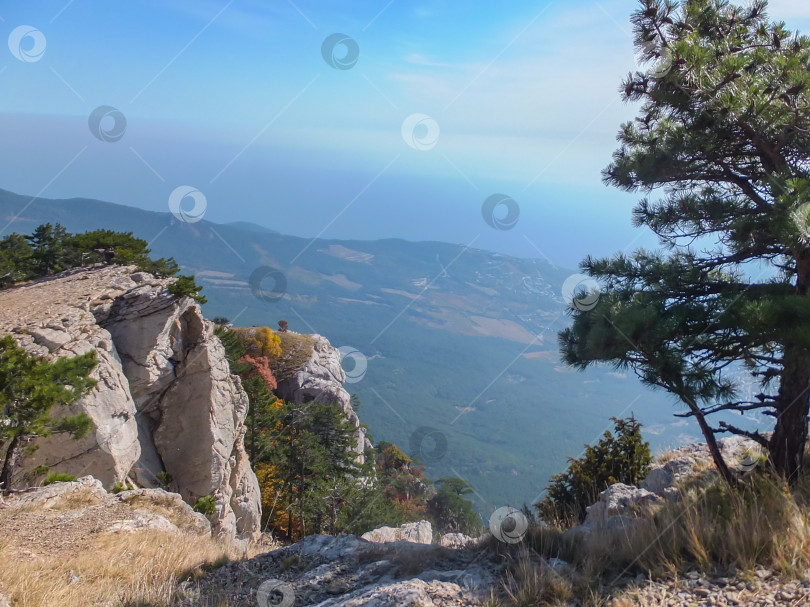 Скачать Очень красивый пейзаж с самой высокой горы Крыма Ай-Петри. Массив белой скалы слева и фрагмент сосны справа. фотосток Ozero