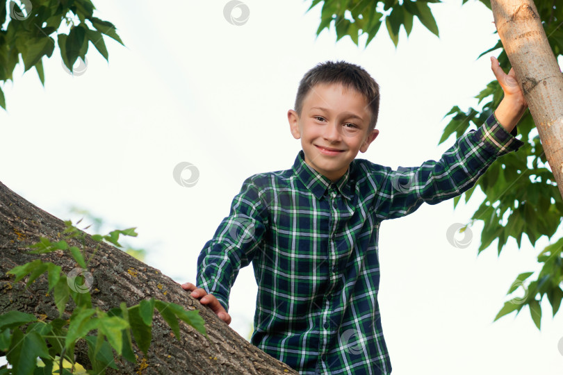 Скачать Мальчик отдыхает на ветке дерева фотосток Ozero