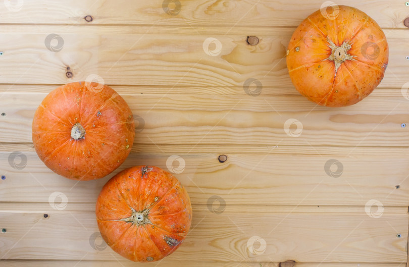 Скачать Оранжевые тыквы на Хэллоуин на белых досках, праздничное украшение фотосток Ozero