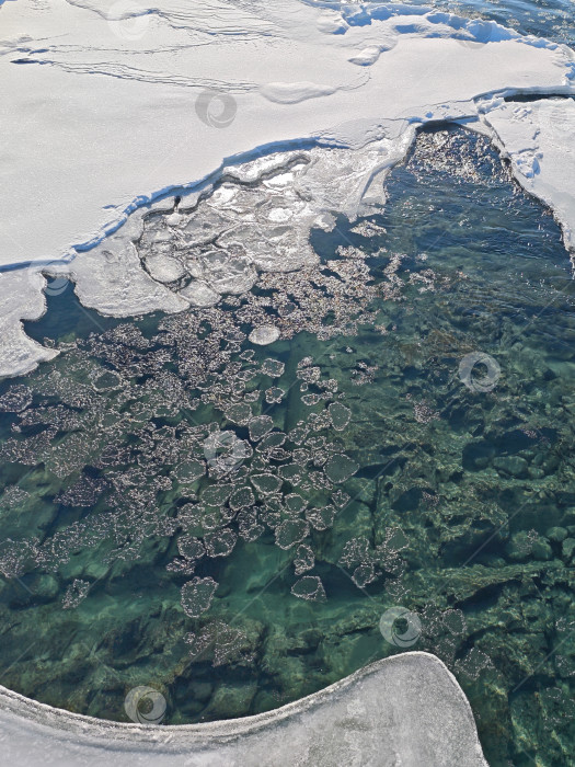 Скачать Льдинки на прозрачной воде реки Катунь в январе. фотосток Ozero