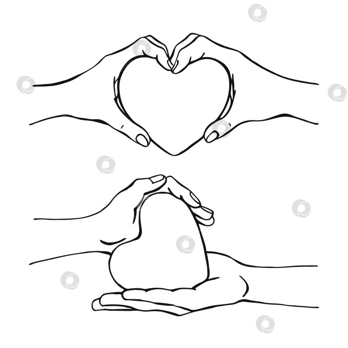 Скачать Руки, держащие сердце. Векторная иллюстрация, нарисованная от руки. На белом фоне для вашего дизайна. фотосток Ozero