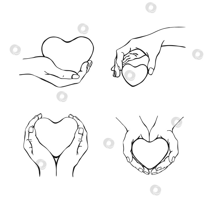 Скачать Руки, держащие сердце. Векторная иллюстрация, нарисованная от руки. На белом фоне для вашего дизайна. фотосток Ozero