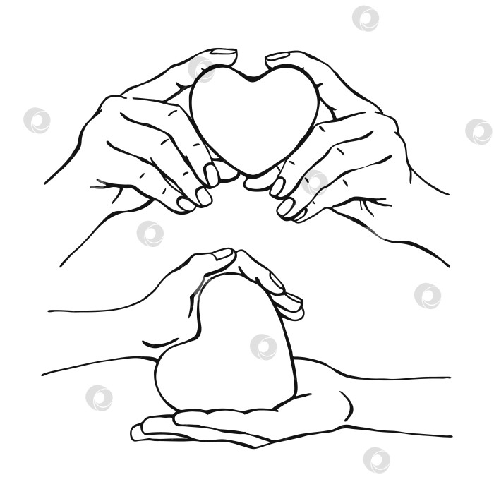 Скачать Руки, держащие сердце. Векторная иллюстрация, нарисованная от руки. На белом фоне для вашего дизайна. фотосток Ozero