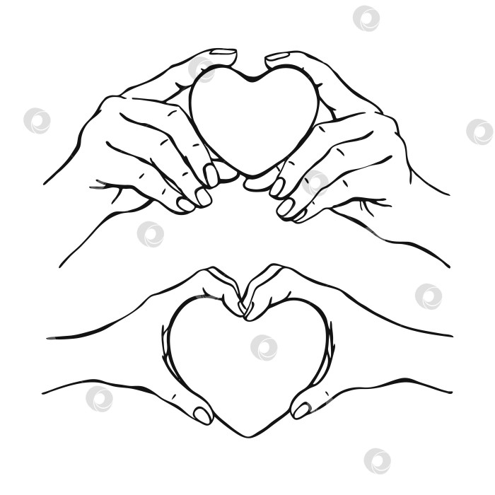 Скачать Руки, держащие сердце. Векторная иллюстрация, нарисованная от руки. На белом фоне для вашего дизайна. фотосток Ozero