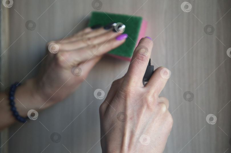 Скачать Женская рука протирает пыль с помощью средства для уборки и губки фотосток Ozero