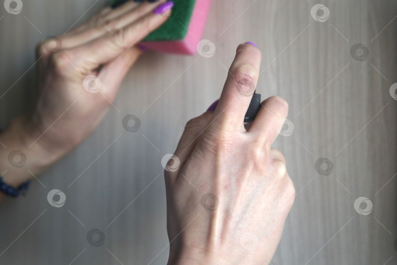 Скачать Женщина протирает пыль с помощью средства с распылителем и поролоновой губки фотосток Ozero