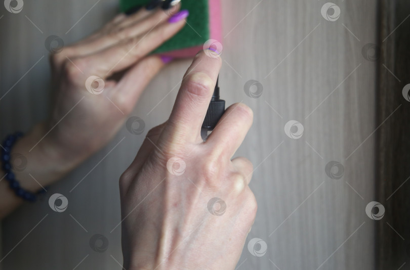 Скачать Женская рука протирает пыль с помощью средства с распылителем и губки фотосток Ozero