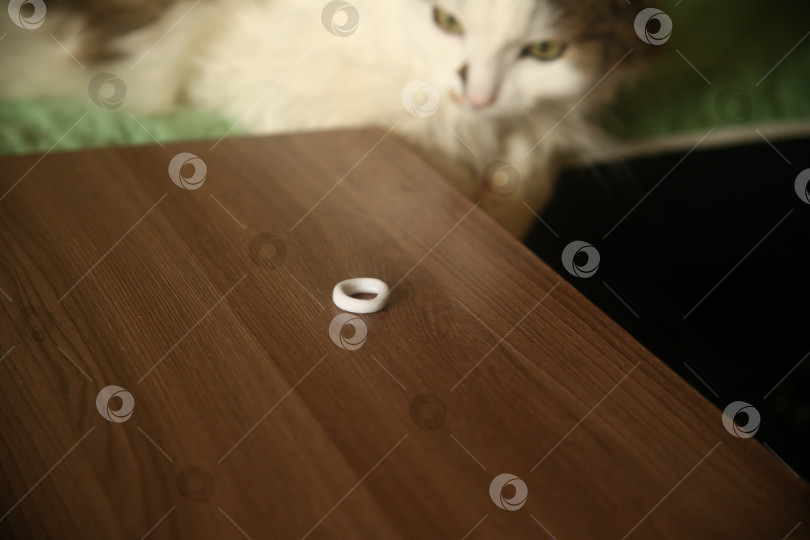 Скачать Маленькая резинка на столе и кот фотосток Ozero