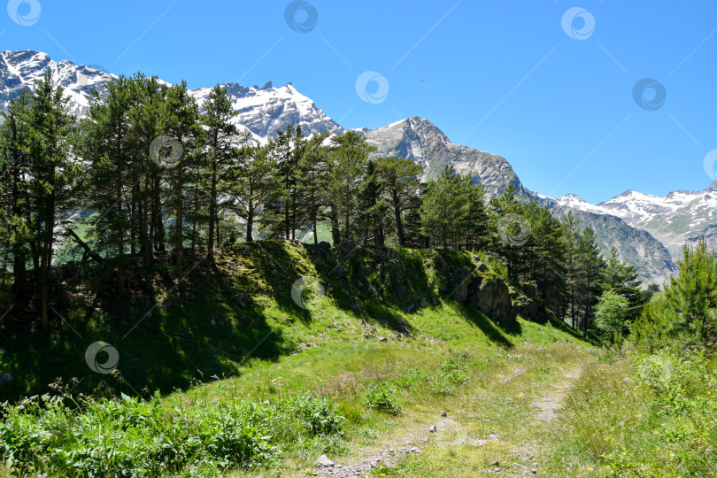 Скачать Кабардино- Балкария. Приэльбрусье фотосток Ozero