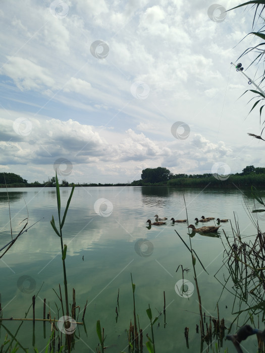 Скачать Спокойный речной пейзаж с удочкой и облачным небом, расслабляющий фон природы, спокойные водные обои фотосток Ozero