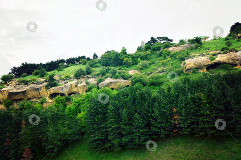 Скачать Кисловодск. фотосток Ozero