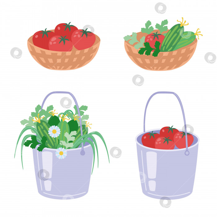 Скачать Собранный урожай овощи и зелень в ведрах и плетенных корзинках фотосток Ozero