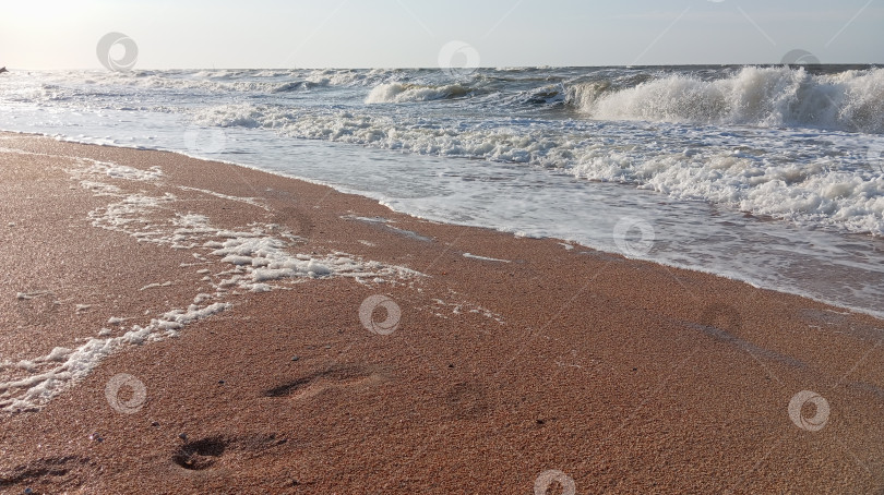 Скачать Морской пляж . фотосток Ozero