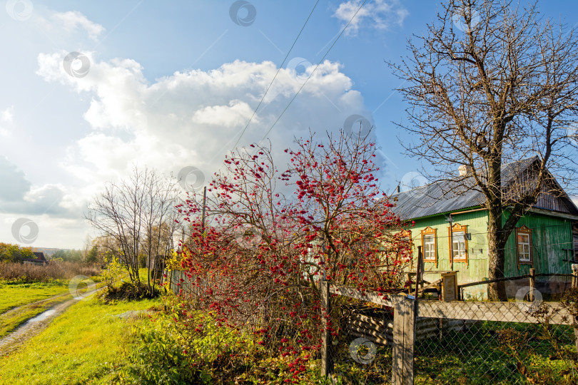 Скачать старый деревянный дом в деревне осенью фотосток Ozero
