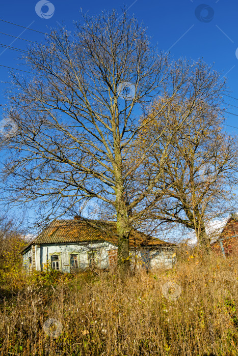 Скачать старый деревянный дом в деревне осенью фотосток Ozero