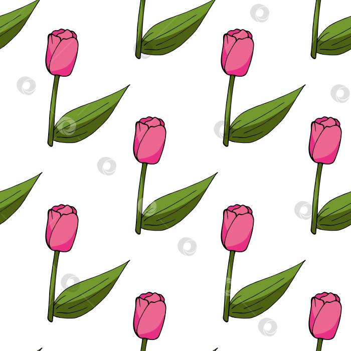 Скачать Бесшовный узор с милыми розовыми тюльпанами на белом фоне. векторное изображение. фотосток Ozero