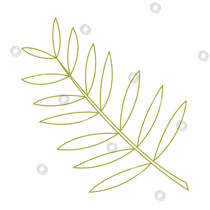 Скачать Разноцветный пальмовый лист. Цветная векторная иллюстрация, нарисованная от руки, для ваших проектов. фотосток Ozero