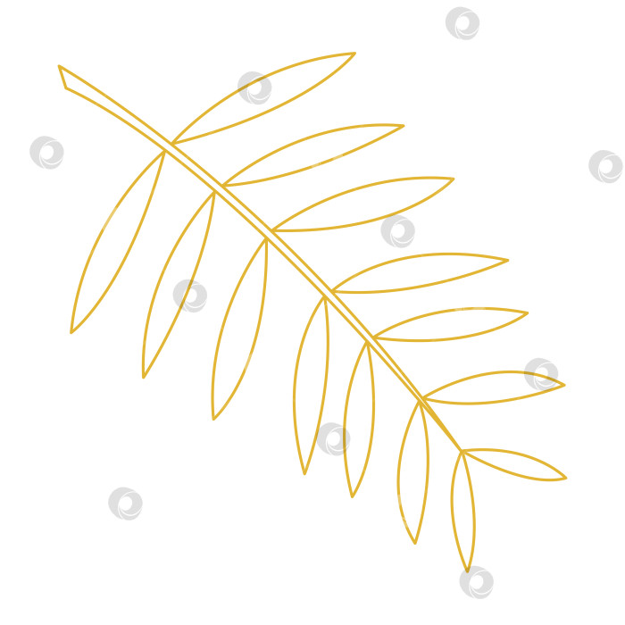 Скачать Разноцветный пальмовый лист в стиле каракулей. Цветная векторная иллюстрация, нарисованная от руки, для ваших проектов. фотосток Ozero