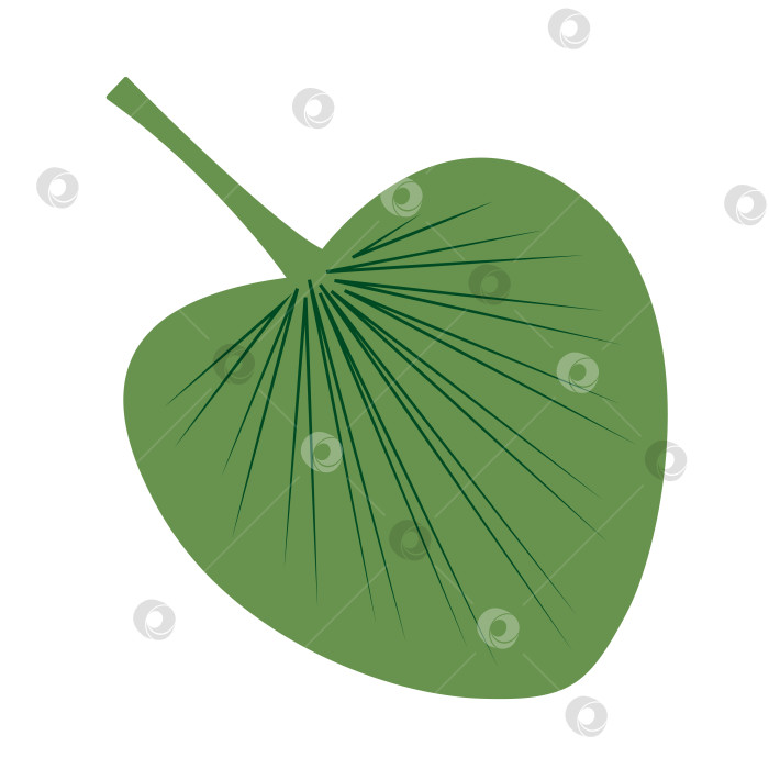 Скачать Тропический лист в форме сердца. Цветная векторная иллюстрация, нарисованная от руки, для ваших проектов. фотосток Ozero