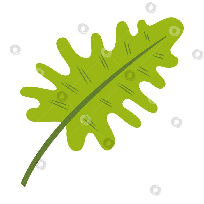 Скачать Пальмовый лист волнистой формы. Цветная векторная иллюстрация, нарисованная от руки, для ваших проектов. фотосток Ozero