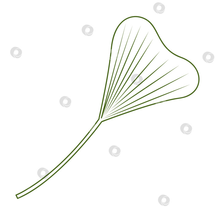 Скачать Тропический лист с длинным черешком. Цветная векторная иллюстрация, нарисованная вручную, для ваших проектов. фотосток Ozero