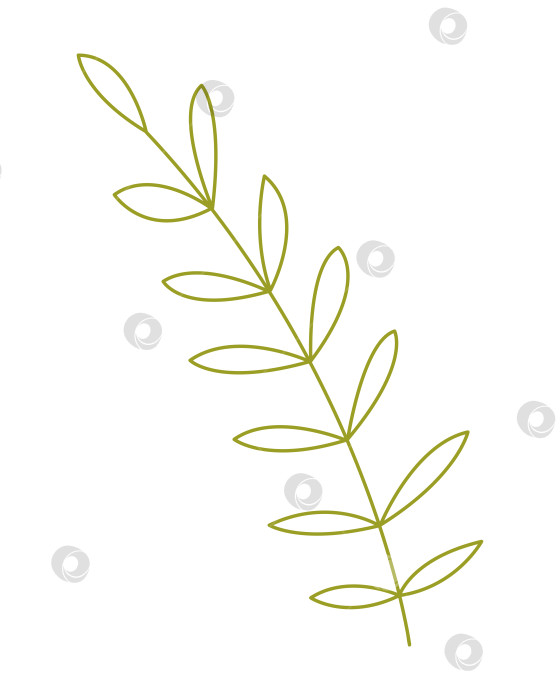 Скачать Абстрактный пальмовый лист с несколькими листьями. Цветная векторная иллюстрация, нарисованная от руки, для ваших проектов. фотосток Ozero