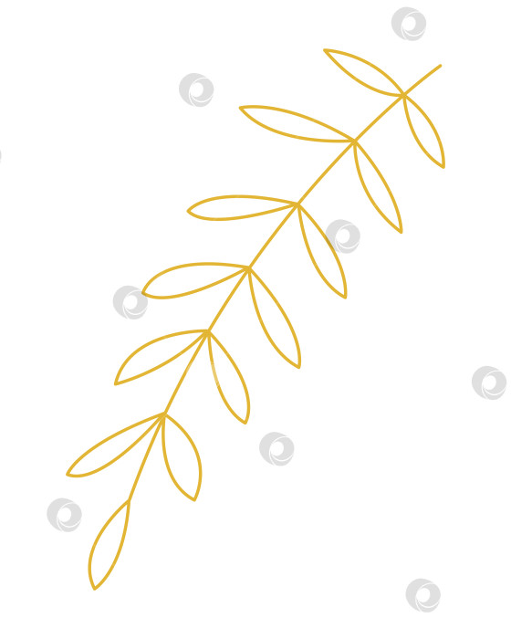 Скачать Абстрактный тропический лист с несколькими листочками. Цветная векторная иллюстрация, нарисованная вручную, для ваших проектов. фотосток Ozero