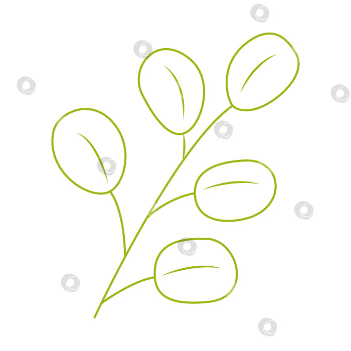 Скачать Абстрактная пальмовая ветвь с овальными листьями. Цветная векторная иллюстрация, нарисованная от руки, для ваших проектов. фотосток Ozero