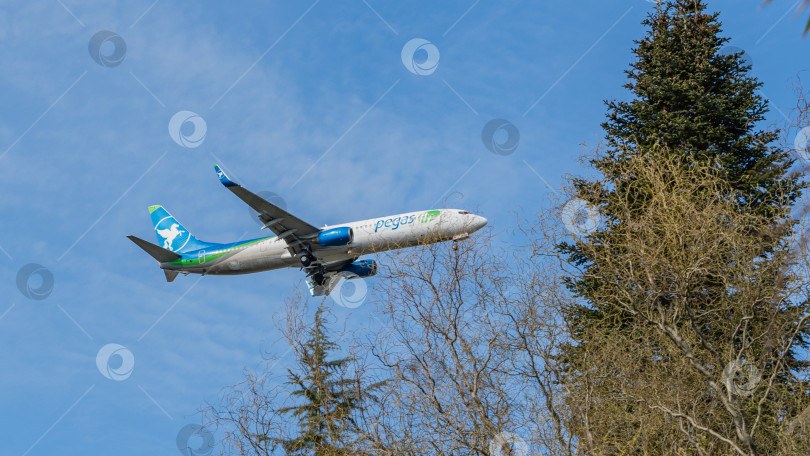 Скачать Boeing 737-800 Pegas Fly заходит на взлетно-посадочную полосу в аэропорту Адлера на фоне голубого неба. Авиакомпания Pegas Fly. Крупный план. Шасси и закрылки самолета выпущены. фотосток Ozero