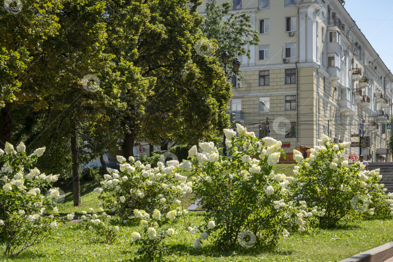 Скачать Набережная крупнейшего промышленного города на Волге Самары. Здесь всегда отдыхают люди. фотосток Ozero