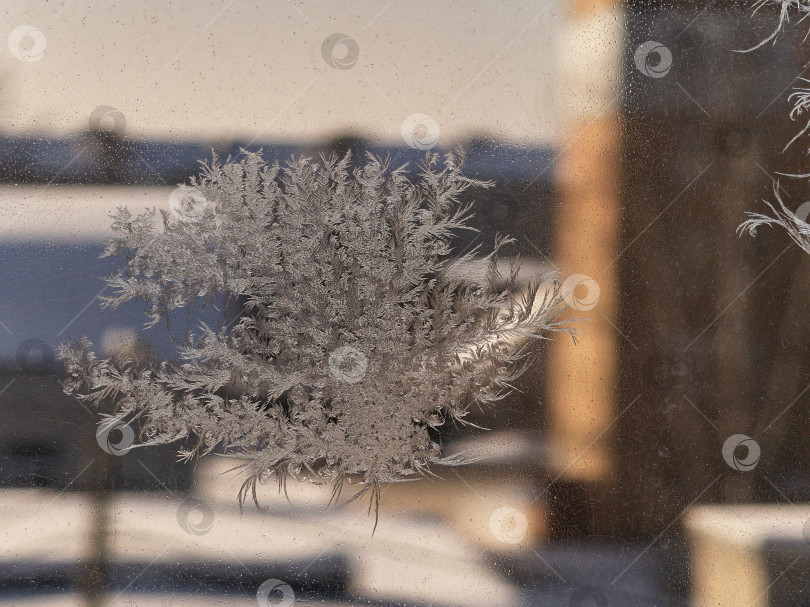 Скачать Морозный узор на окне в зимнем городе. Зимний морозный рисунок на окне. фотосток Ozero