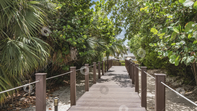 Скачать Прямо в парк ведет дощатый настил с веревочными перилами. фотосток Ozero