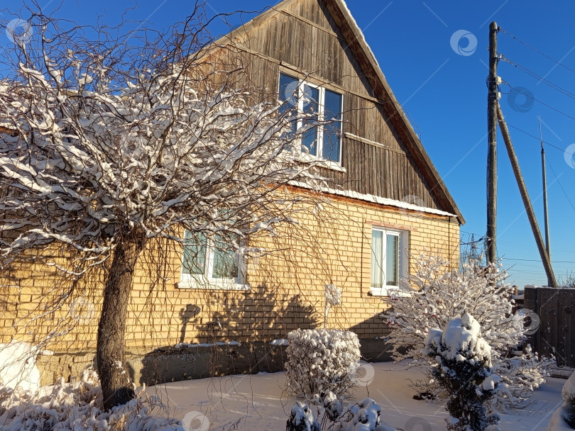Скачать Палисадник с ивой в снегу у желтого кирпичного дома в солнечный день. Южный Урал, Россия фотосток Ozero
