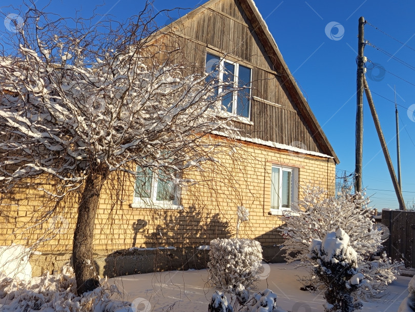 Скачать Палисадник с ивой в снегу у желтого кирпичного дома в солнечный день. Южный Урал, Россия фотосток Ozero