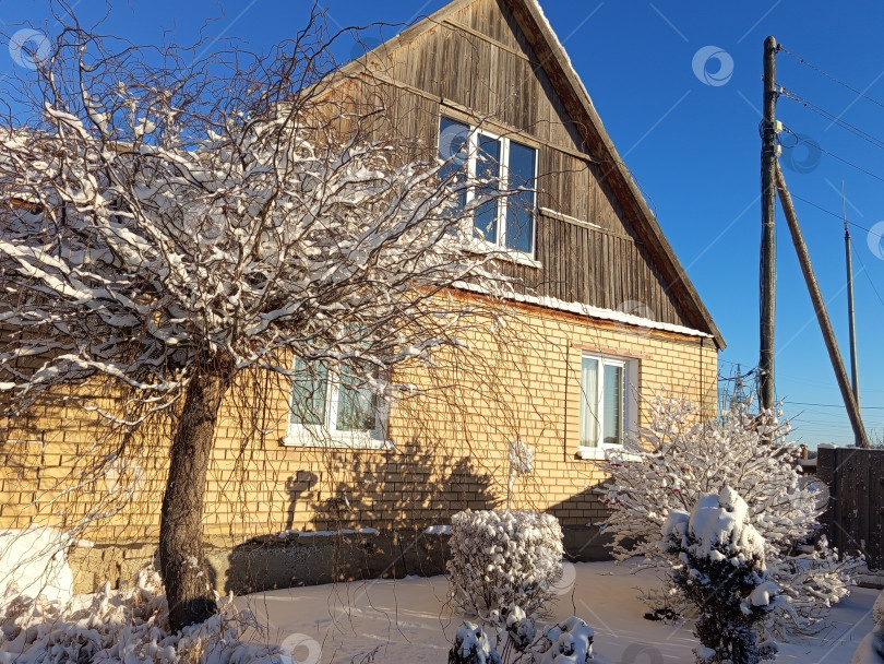 Скачать Зимний палисадник на Южном Урале: ива в снегу у желтого кирпичного дома фотосток Ozero