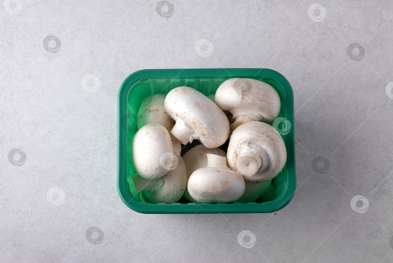 Скачать Свежие белые грибы в зеленом пластиковом контейнере фотосток Ozero