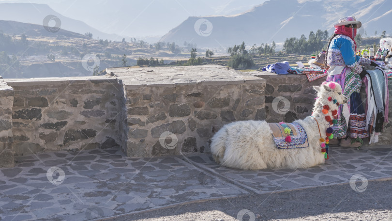 Скачать Смотровая площадка в горной местности. На тротуаре лежит белая лама, украшенная яркими помпонами. фотосток Ozero