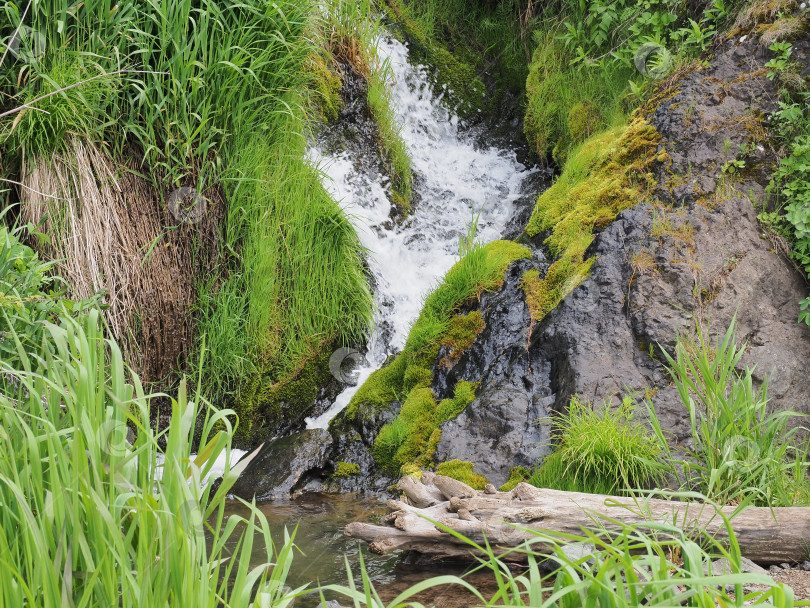 Скачать Ручей в районе Пригородного. Сахалин. Водопад. Сахалин. (марка) фотосток Ozero