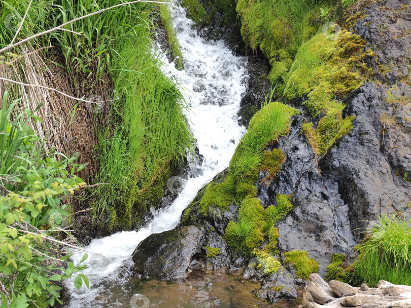 Скачать Ручей в районе Пригородного. Сахалин. Водопад. Сахалин. (марка) фотосток Ozero