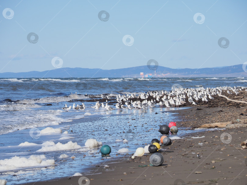 Скачать Поплавки. Берег. Татарский пролив. Сахалин. Поплавки.Татарский пролив. Сахалин. (марка) фотосток Ozero