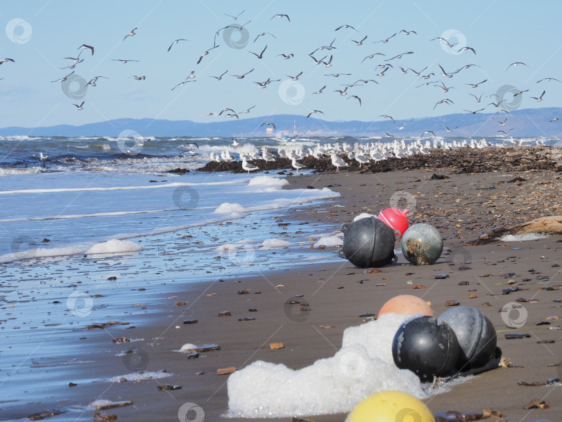 Скачать Поплавки. Берег. Татарский пролив. Сахалин. Поплавки.Татарский пролив. Сахалин. (марка) фотосток Ozero