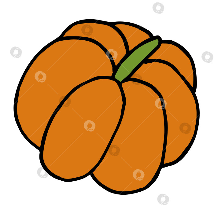 Скачать Осенняя стильная тыква-каракули на белом фоне. Векторное изображение. фотосток Ozero