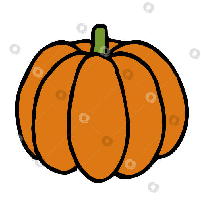 Скачать Осенняя симпатичная тыква-каракули на белом фоне. Векторное изображение. фотосток Ozero
