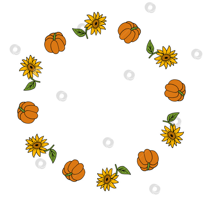 Скачать Круглая рамка с осенними каракулями тыквы и подсолнуха на белом фоне. Векторное изображение. фотосток Ozero