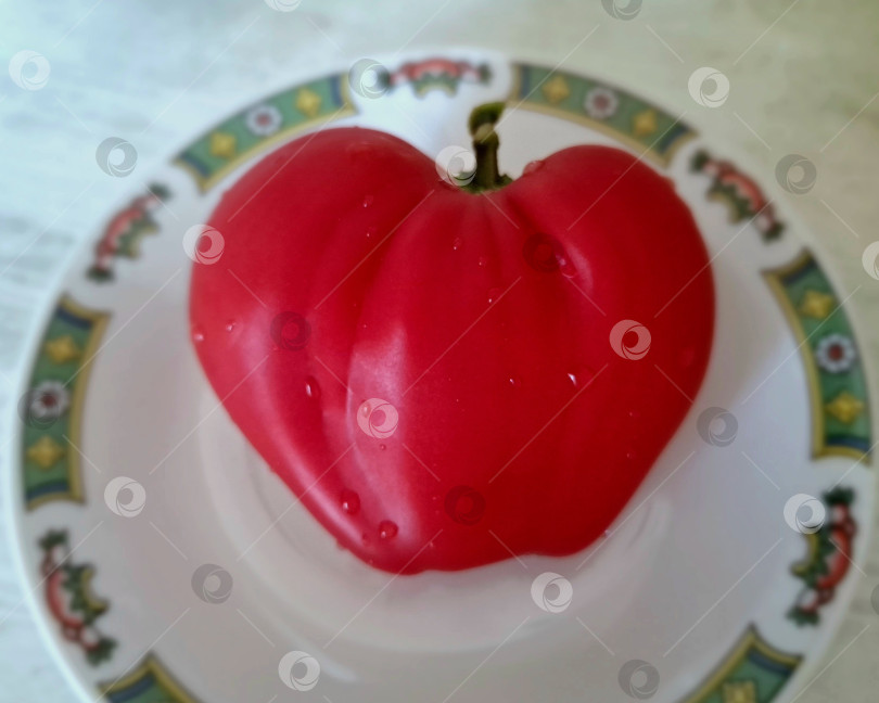 Скачать Большой красный помидор в виде сердца на блюдце фотосток Ozero