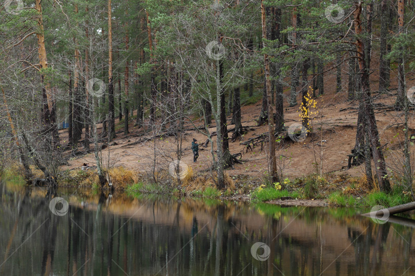 Скачать Озеро в лесу фотосток Ozero