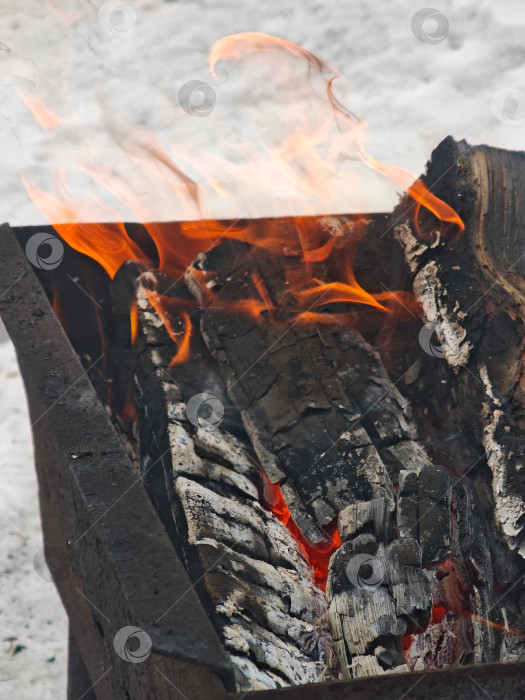 Скачать Дрова горят в мангале. фотосток Ozero